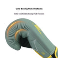 Gants de Boxe Punisher Power Punch Boostwave